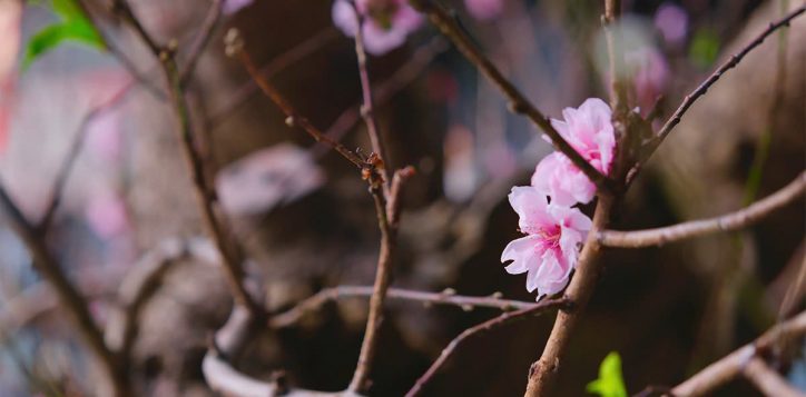 z7353307187191_09c21b6d0eb01eda094b84a3c54bda27-2