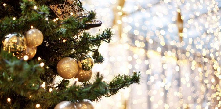 tree-lightning-ceremony-hai-phong-2